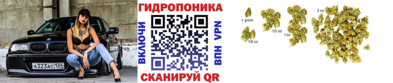 Купить закладки  Боровск  Канабис Bruce Banner 